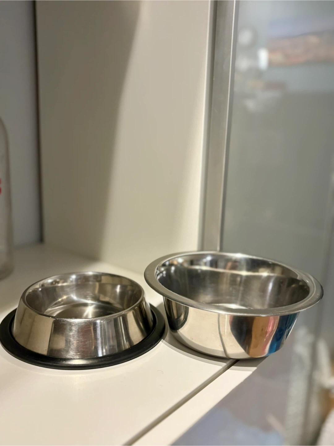 Set of 2 Stainless Steel Pet Bowls