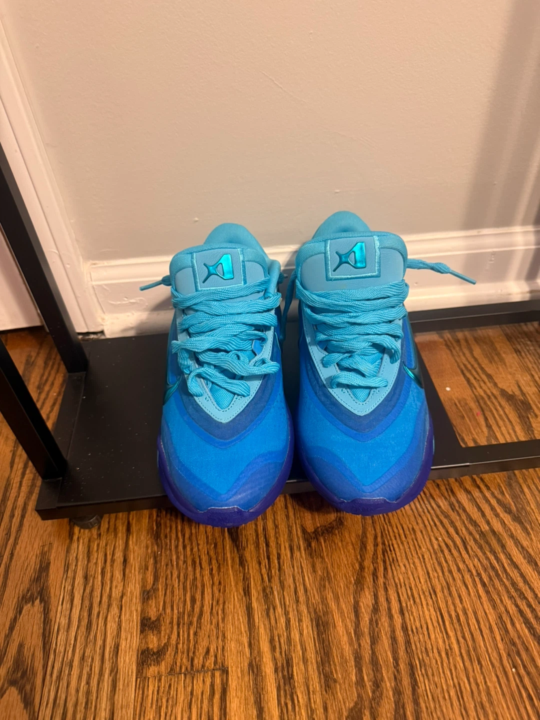 Size 6-Nike A'One Indigo Girl Aja Wilson