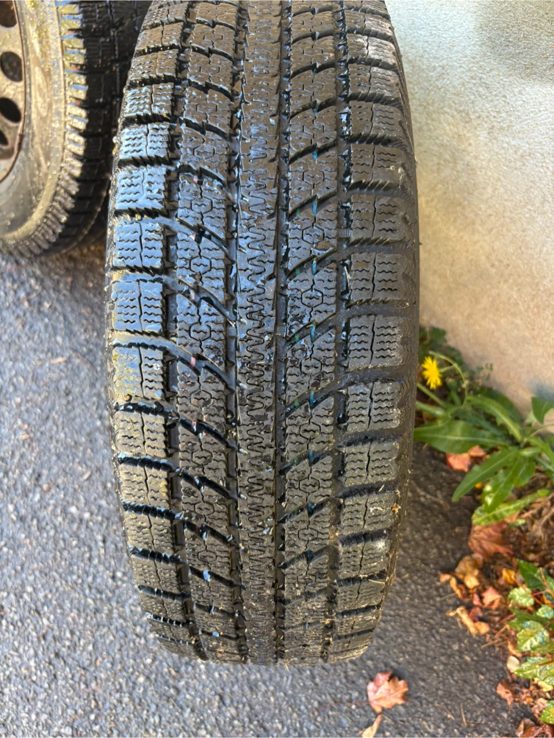 Winter Tires on Rims