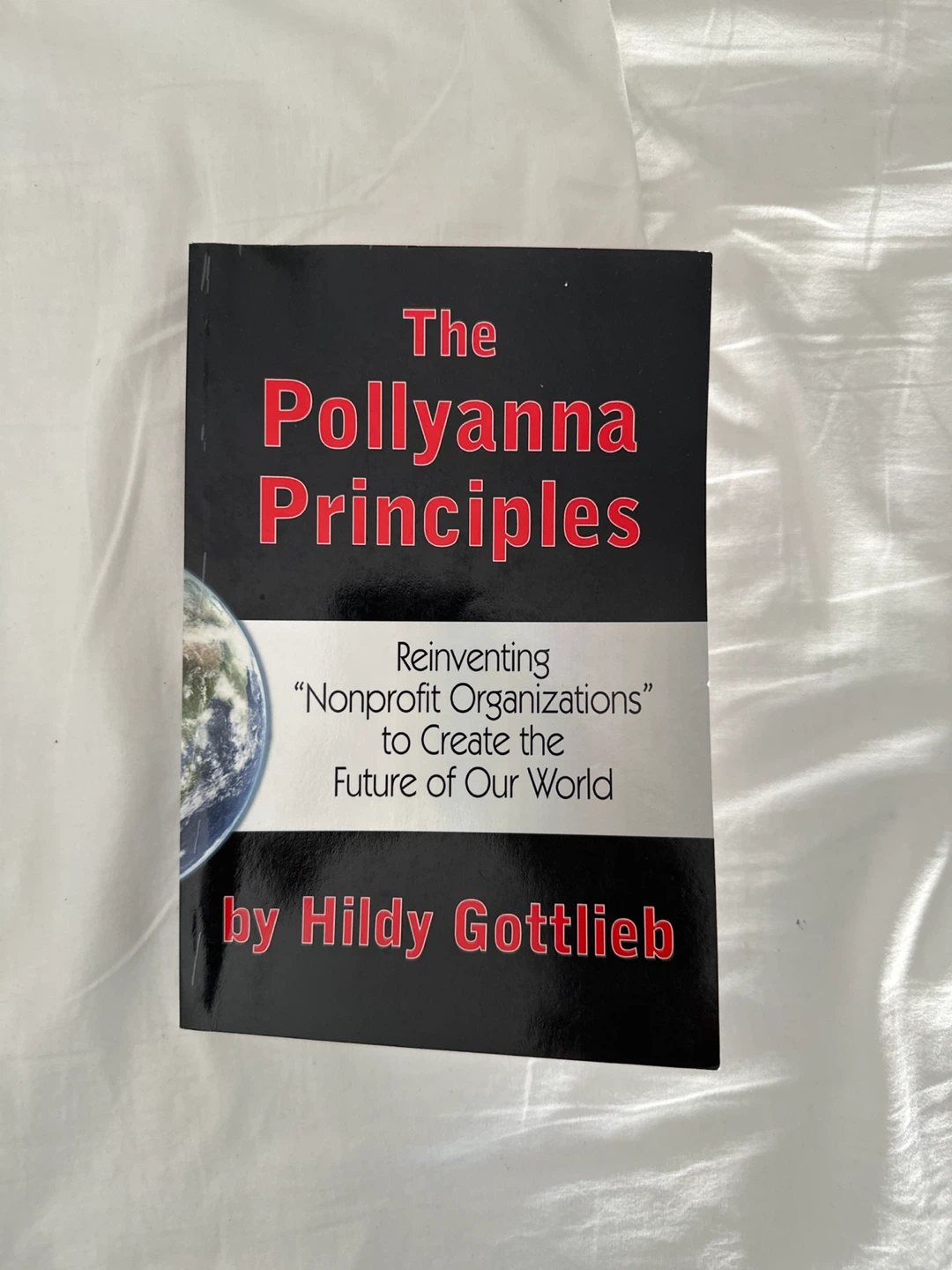 The Pollyanna Principles by Hildy Gottlieb