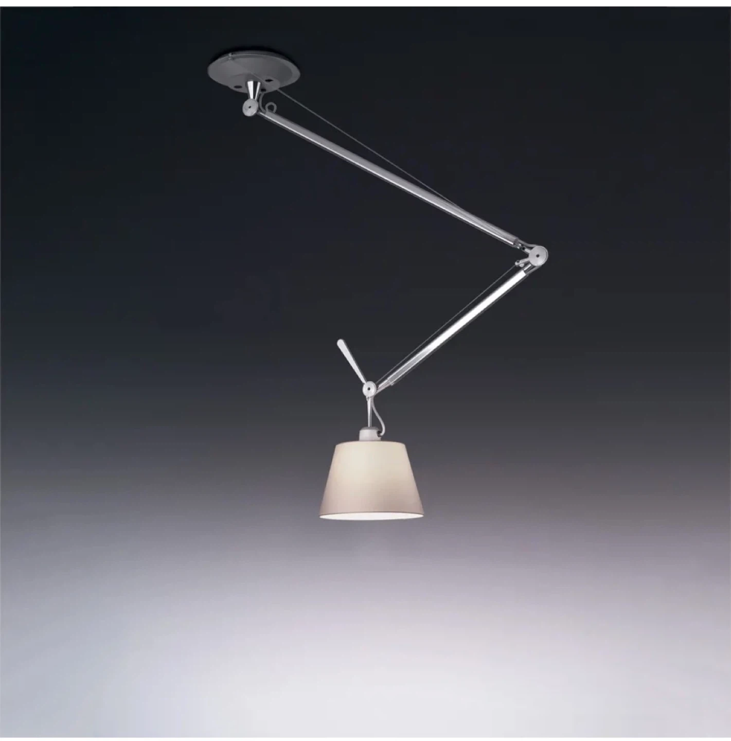 Artemide Tolomeo Decentrata Adjustable Ceiling Lamp – Authentic