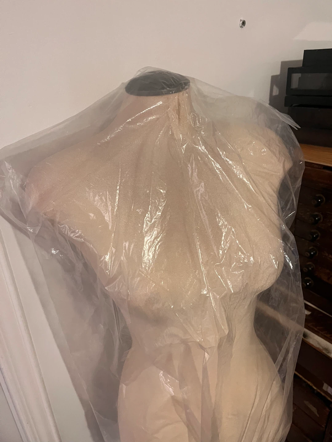 Mannequin Torso Form with Stand - photo 2
