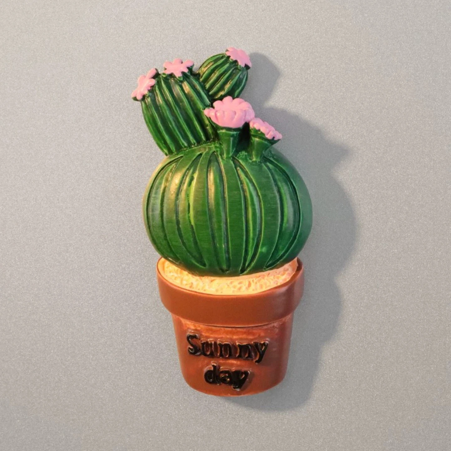 Brand New Cute Cactus Magnets - photo 4