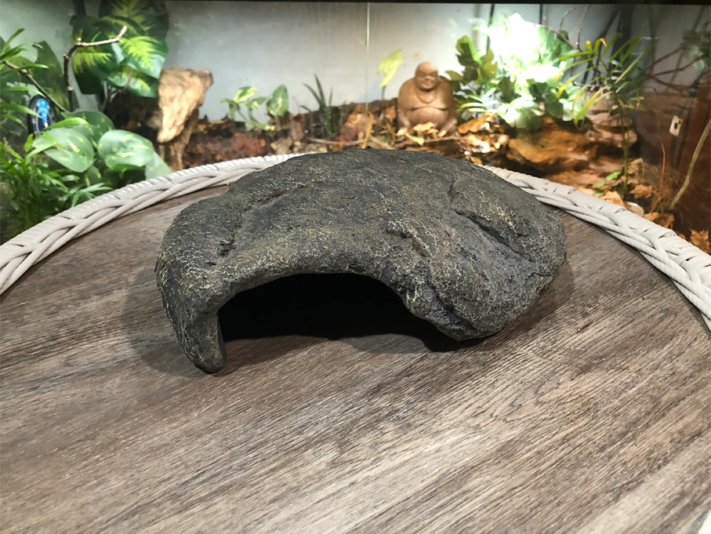 Reptile Hideout Rock Cave