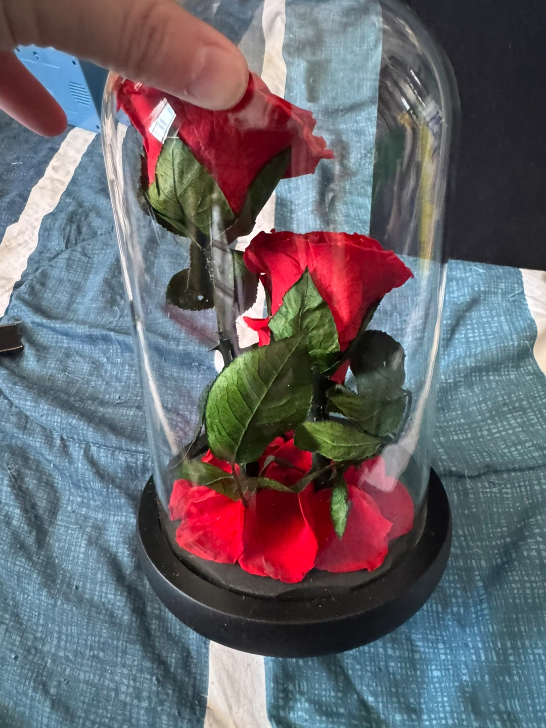 LIVOCCUR Preserved Rose in Glass Dome