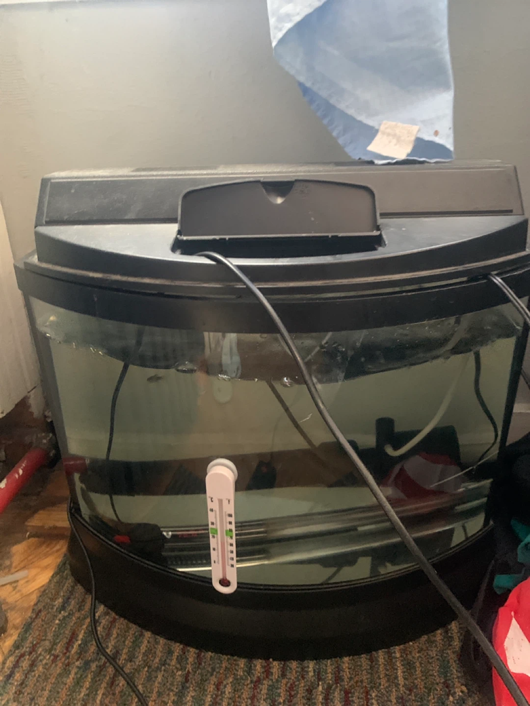 Curved Aquarium Fish Tank - photo 2