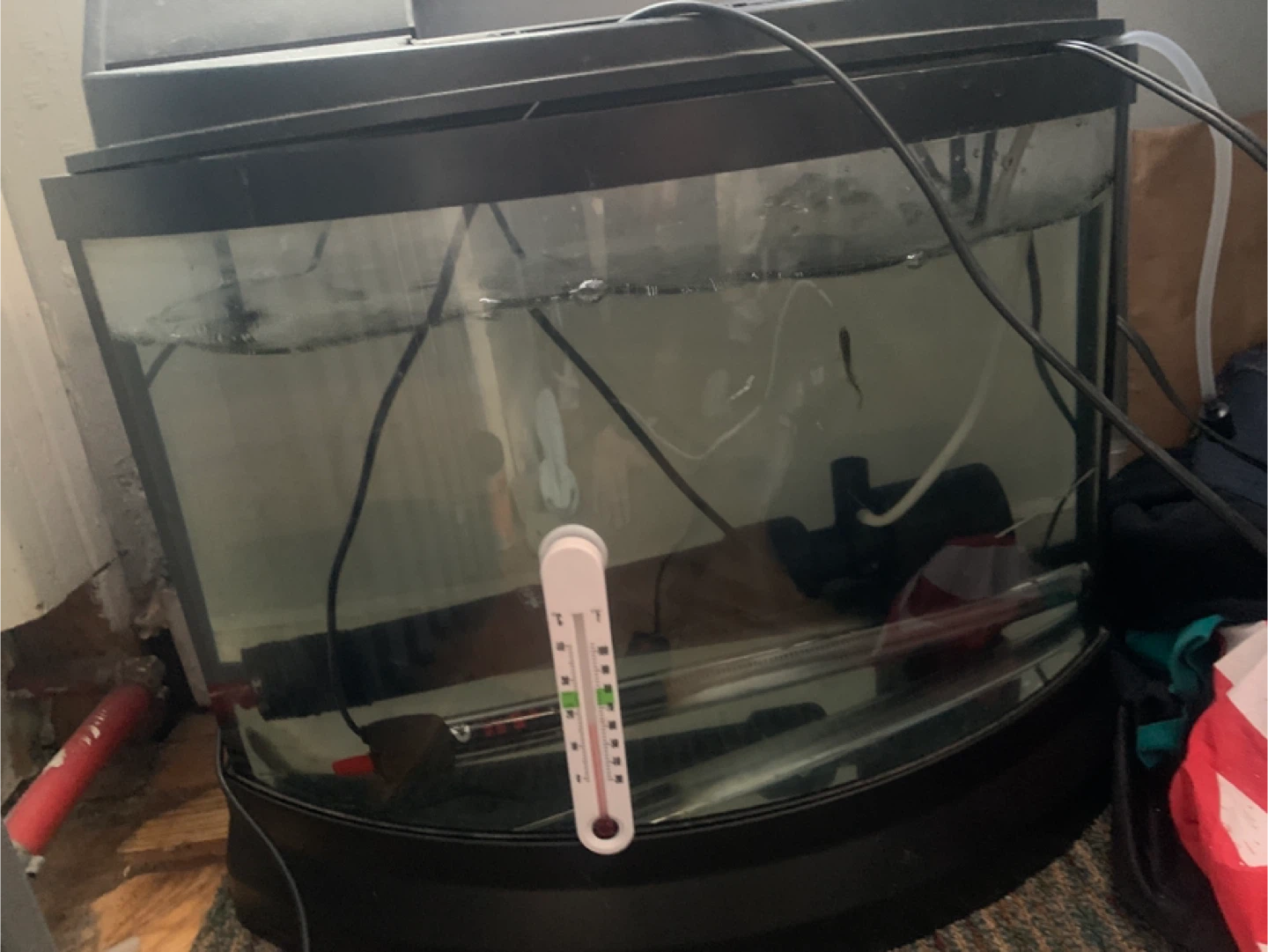 Curved Aquarium Fish Tank