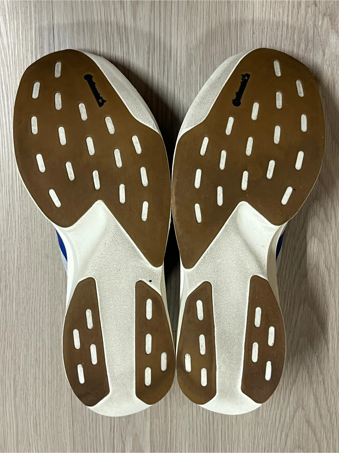 Adidas Adizero Evo SL - photo 5