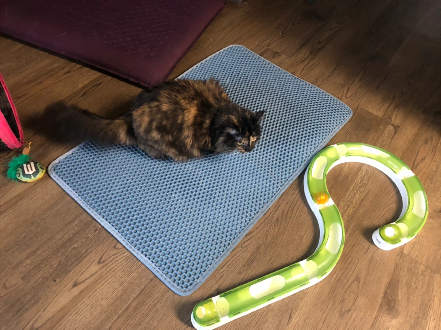 Pet Loo Cat Litter Mat