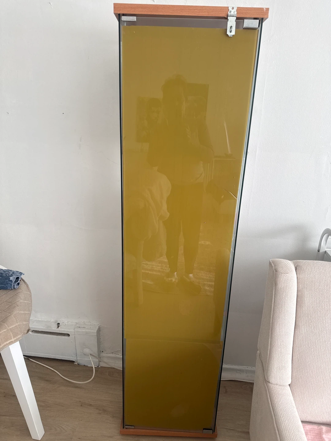 Glass Display Cabinet with Wood Trim