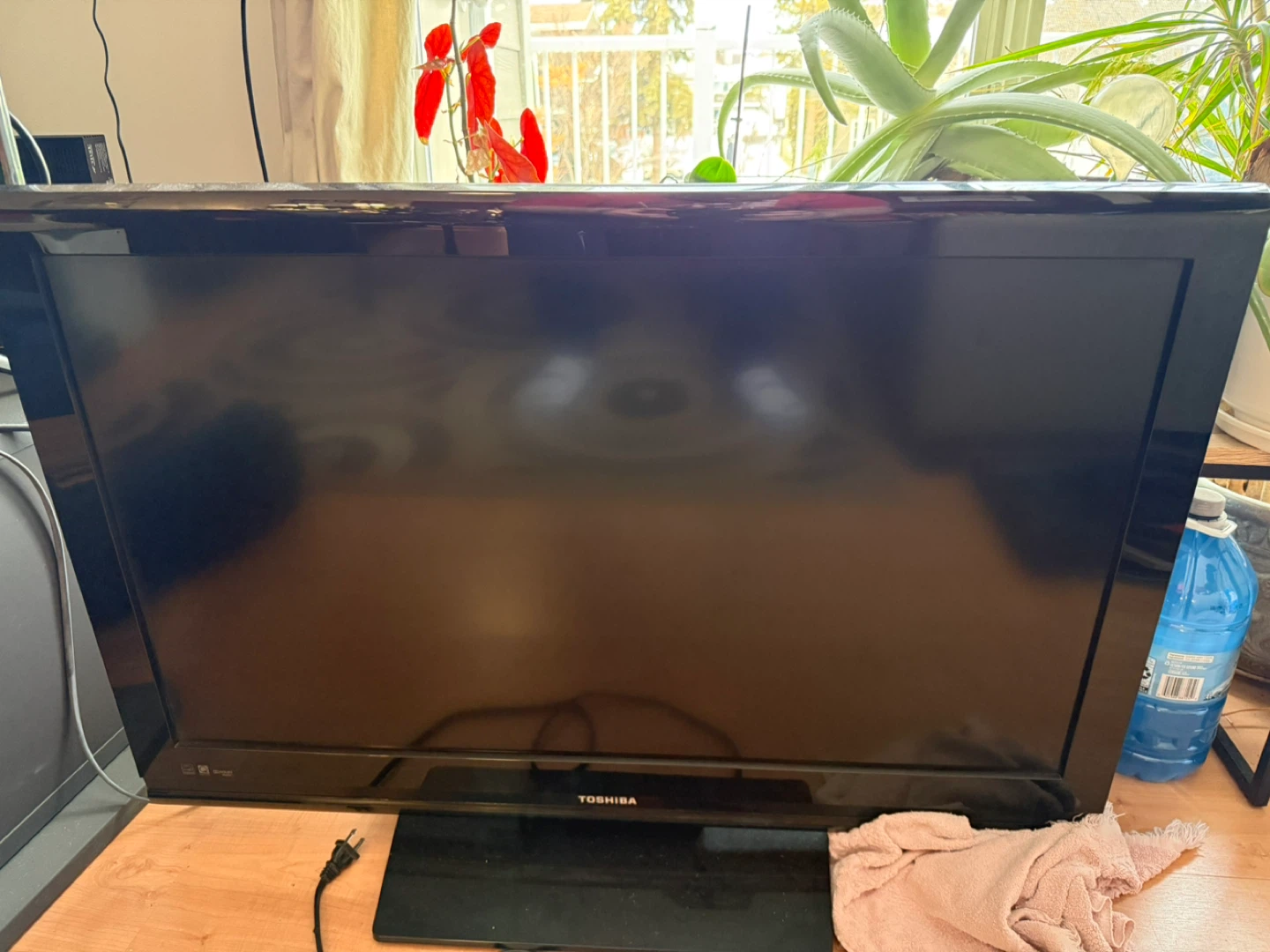 Toshiba Flat Screen TV