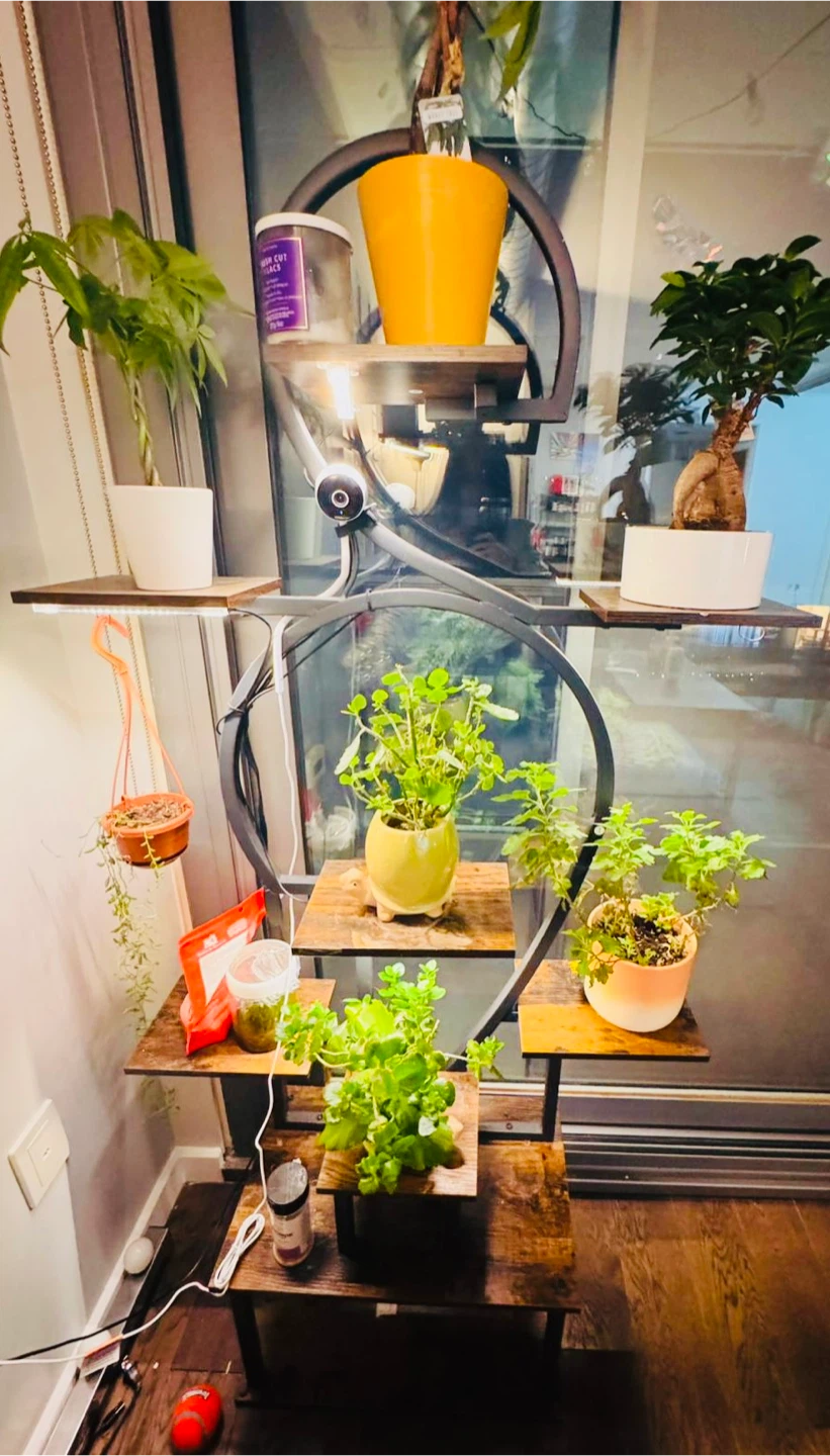 Stylish Multi-Tiered Plant Stand with Grow Lights - photo 5