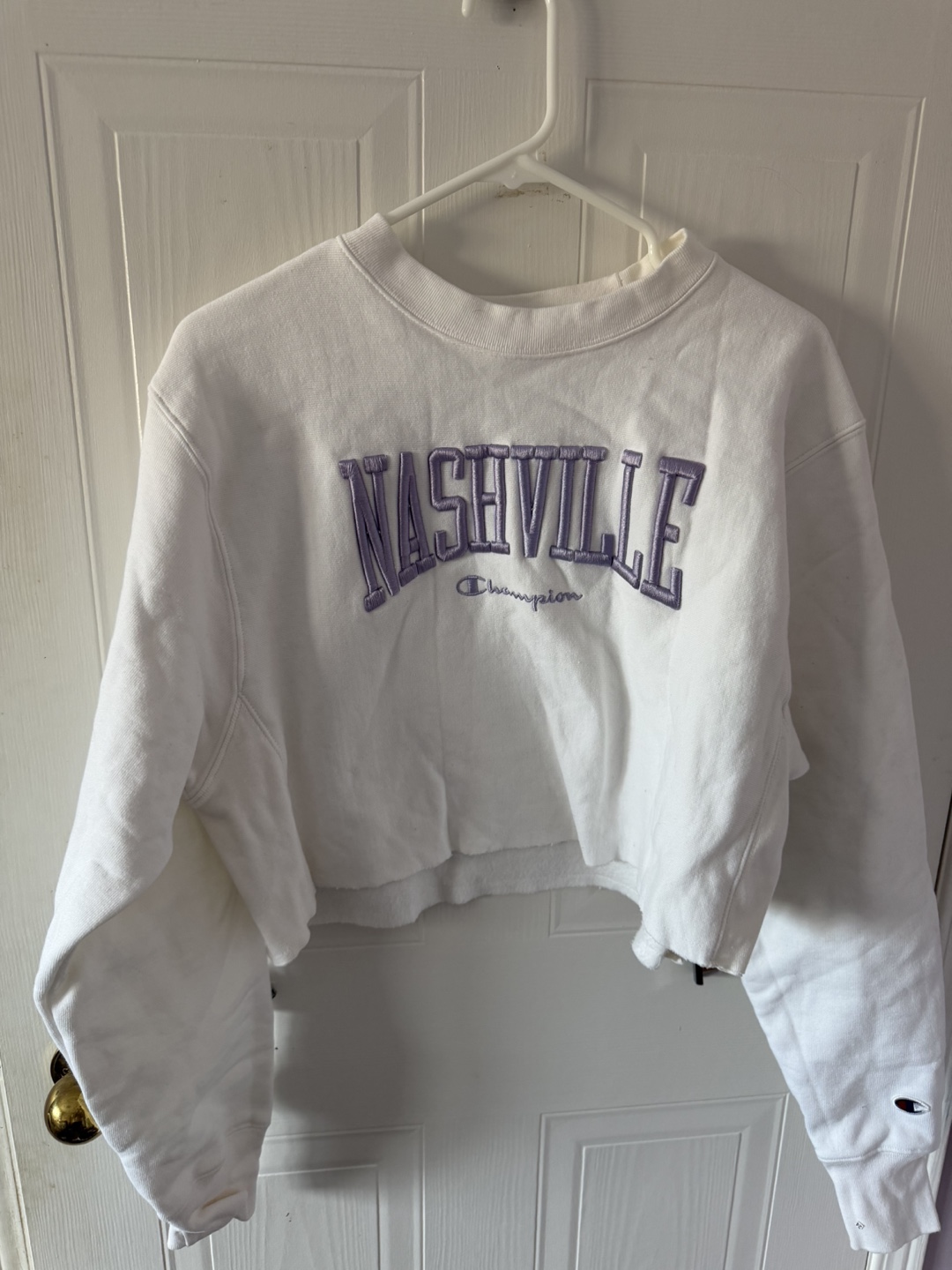 Champion sweater