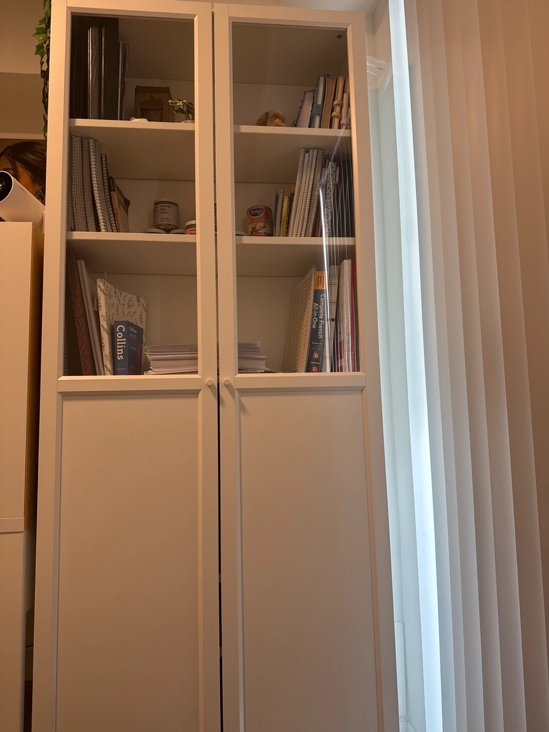 White 2-Door Cabinet with Glass Doors
