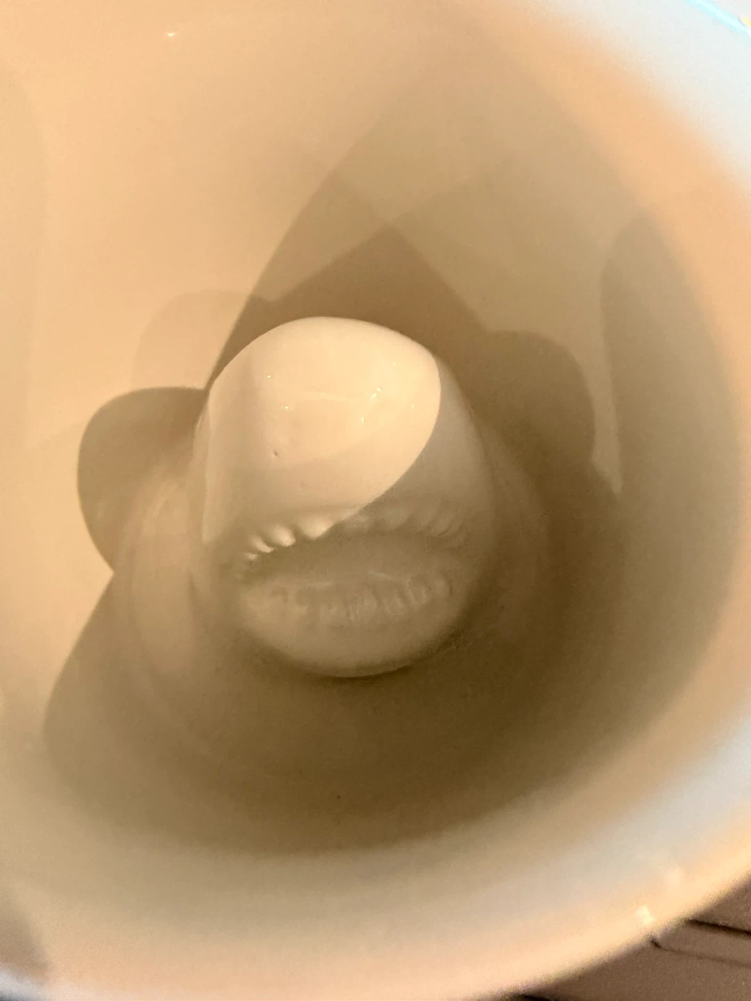 Novelty Mug with Shark Inside🏆