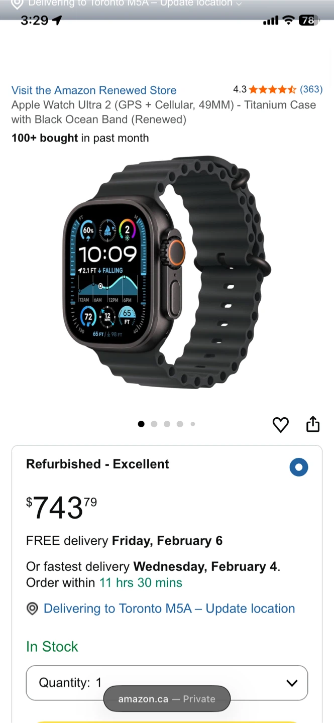 Apple Watch Ultra Ocean Band - Black Titanium