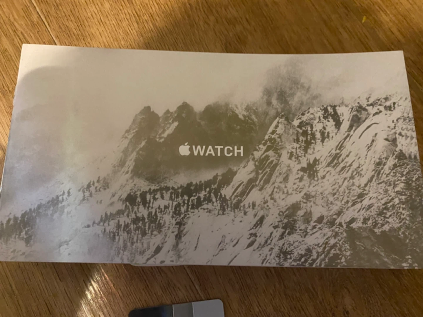 Apple Watch Ultra Ocean Band - Black Titanium - photo 3