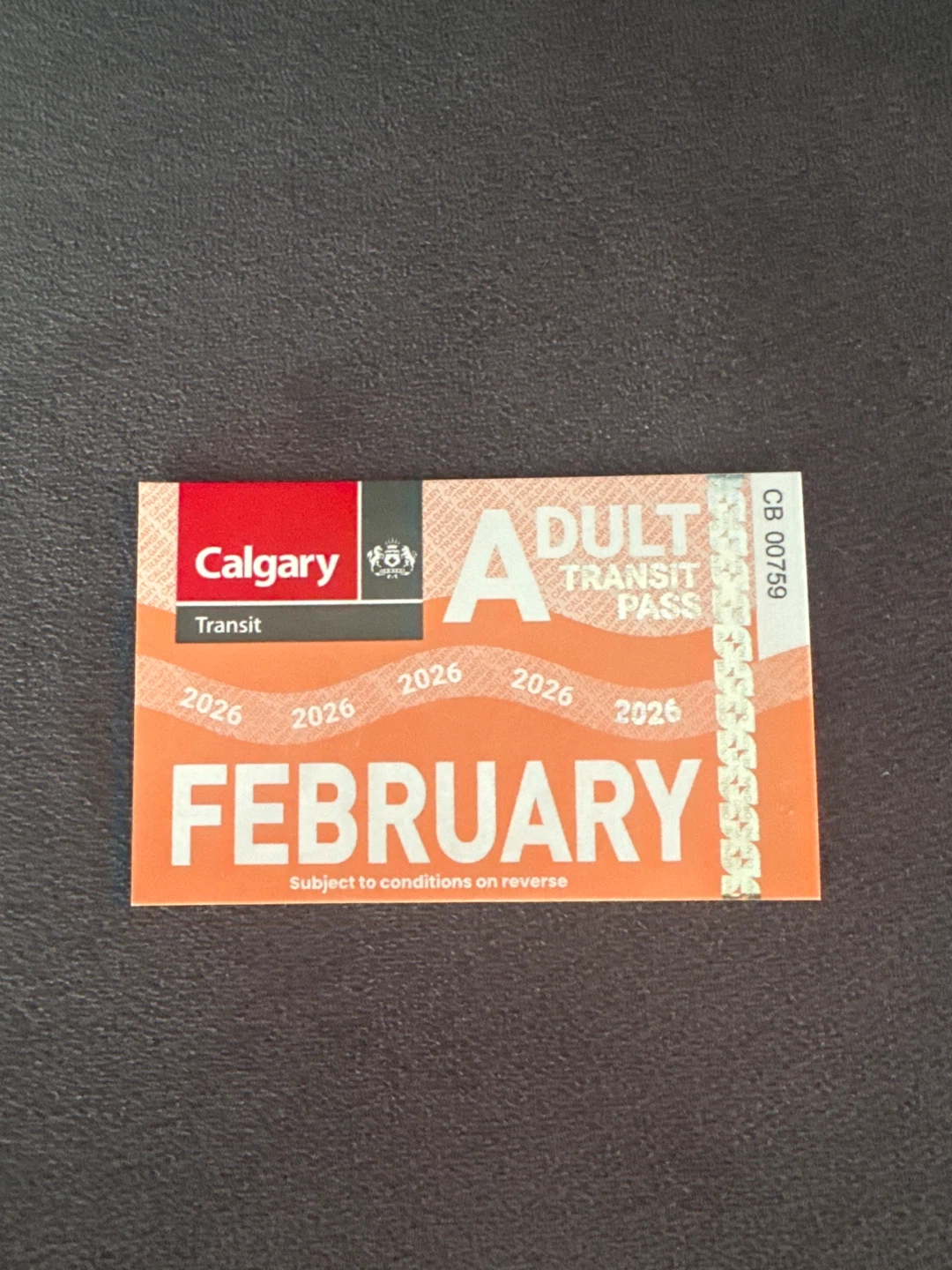 Calgary Transit Adult February Pass 2026