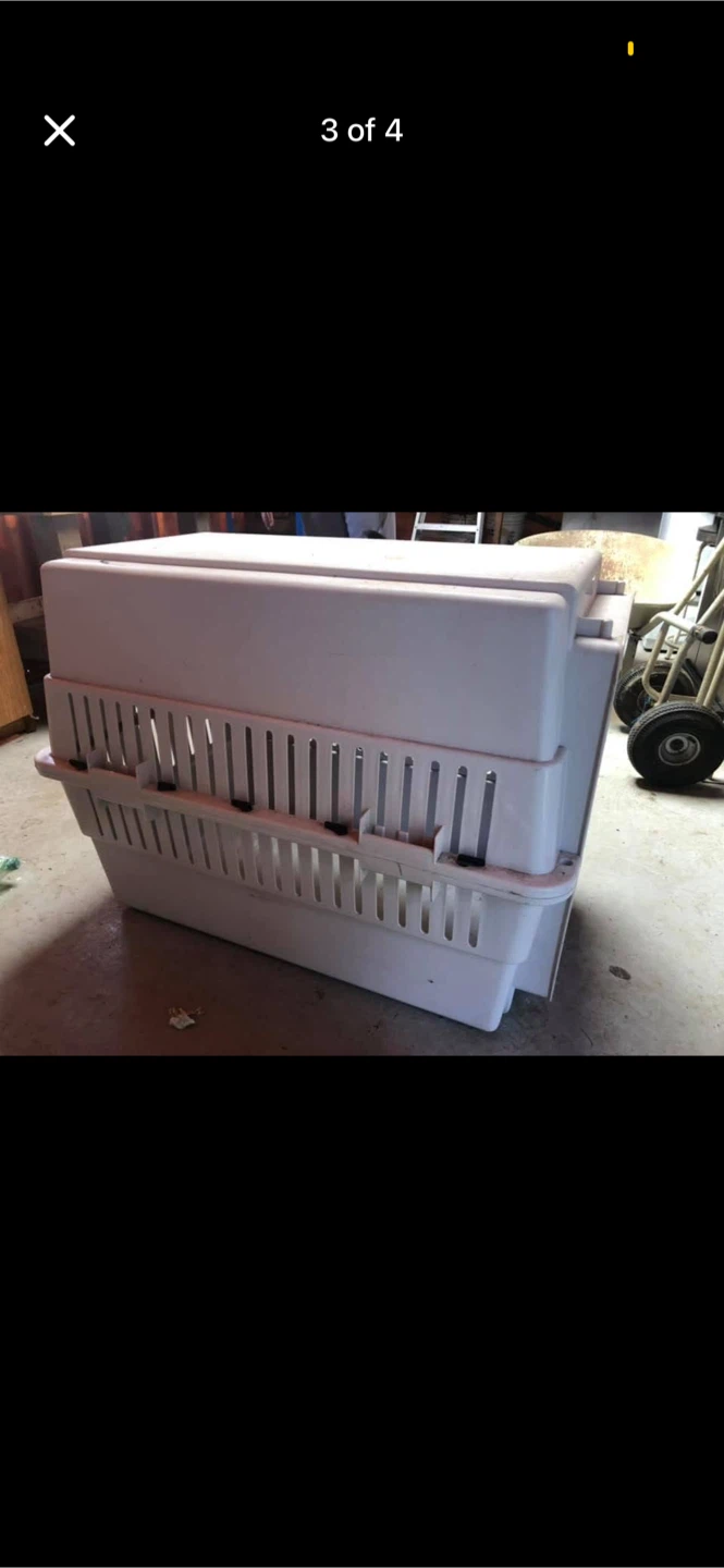 Plastic Dog Crate - photo 3