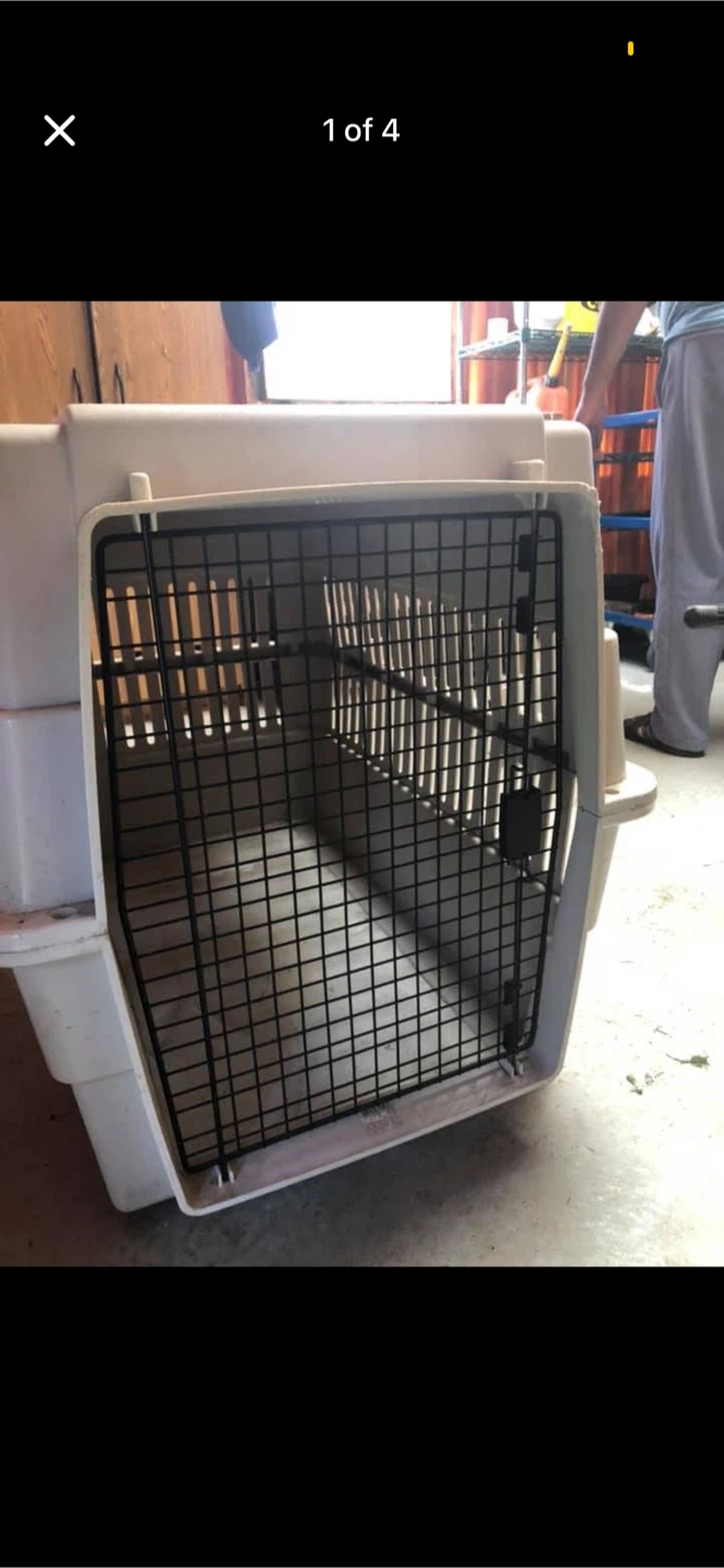 Plastic Dog Crate