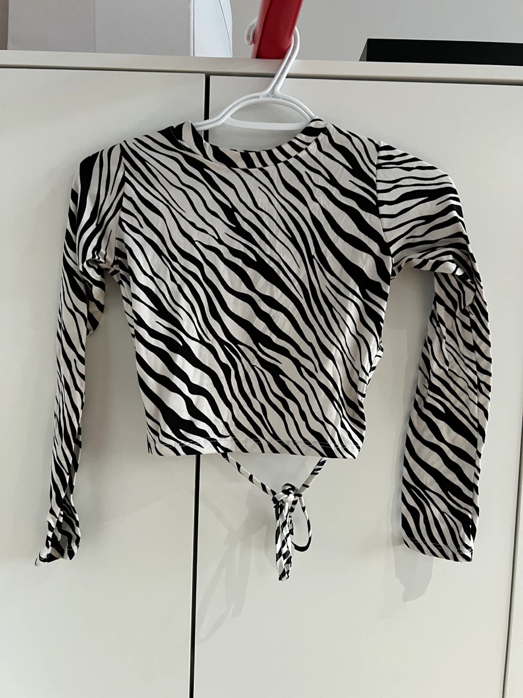Zebra Print Long Sleeve Crop Top