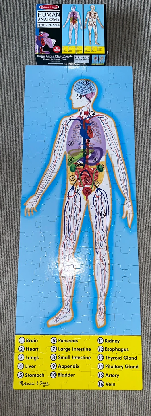 Melissa & Doug Human Anatomy Floor Puzzle (100 Pieces) - photo 3