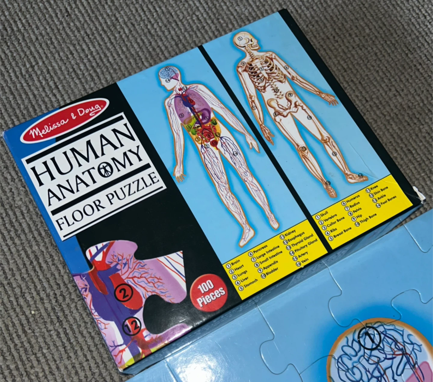 Melissa & Doug Human Anatomy Floor Puzzle (100 Pieces)