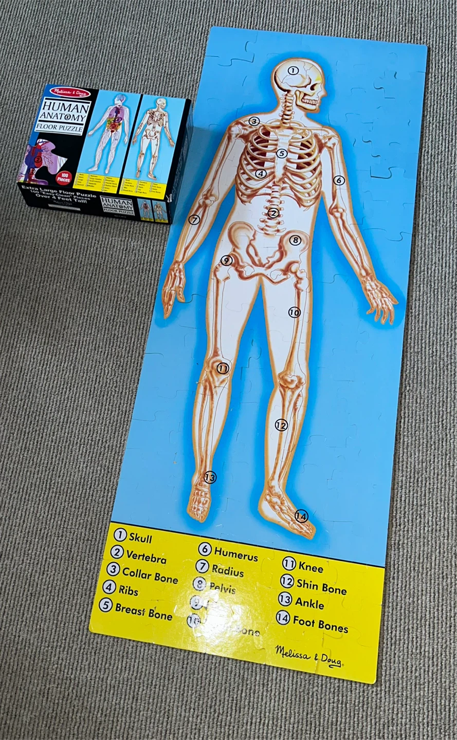 Melissa & Doug Human Anatomy Floor Puzzle (100 Pieces) - photo 2