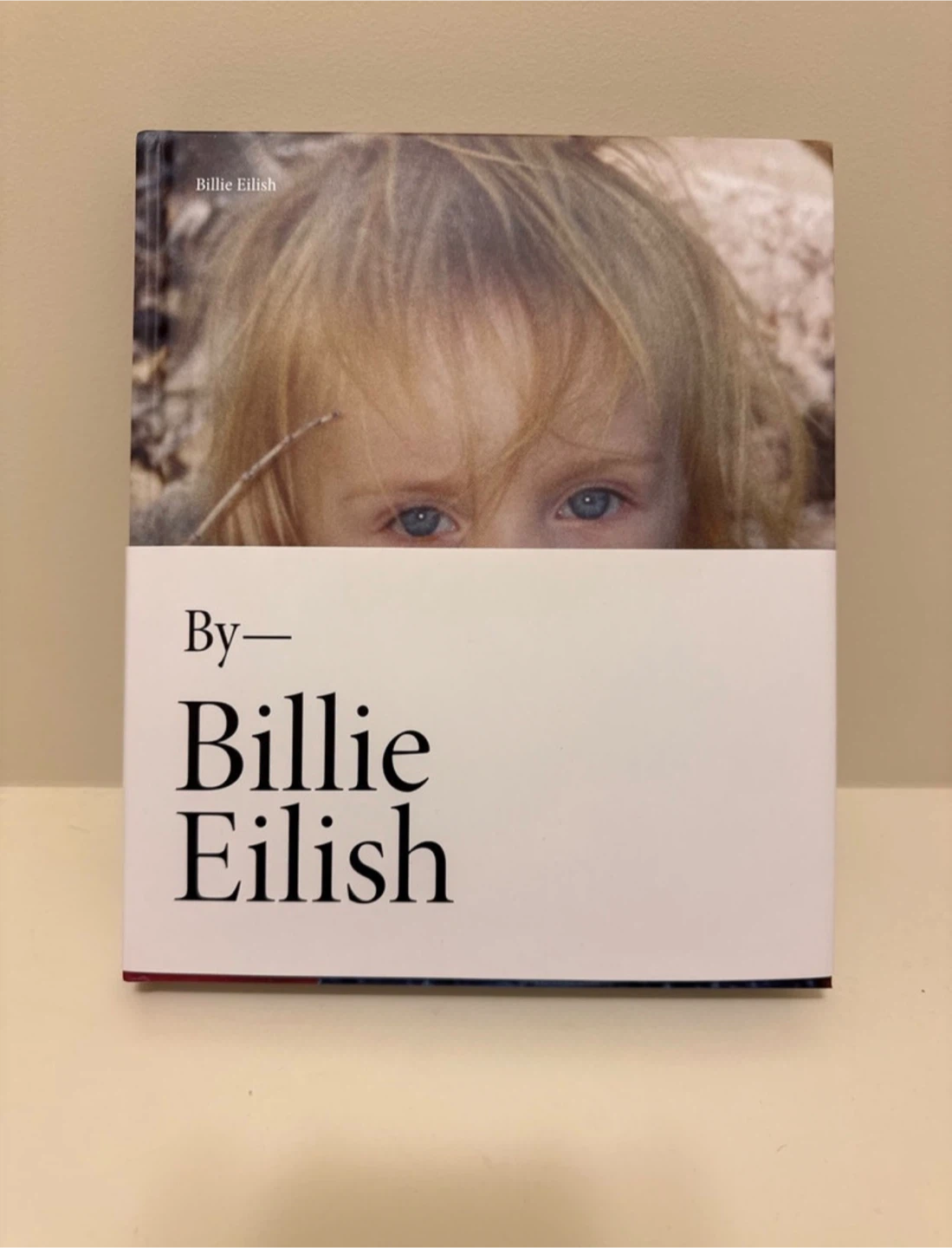 Billie Eilish Bundle (Book & Bag) - photo 2
