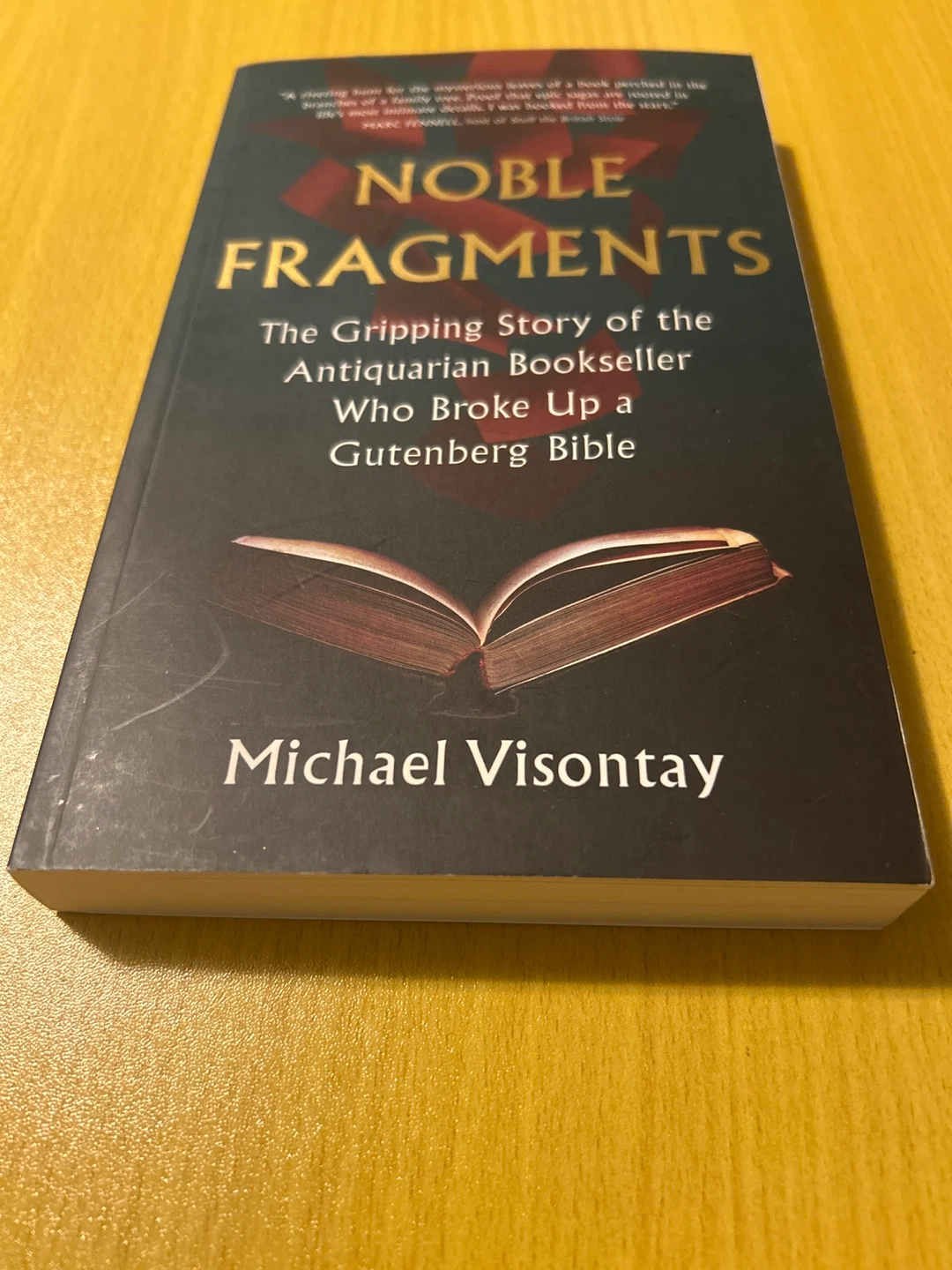 Noble Fragments by Michael Visontay