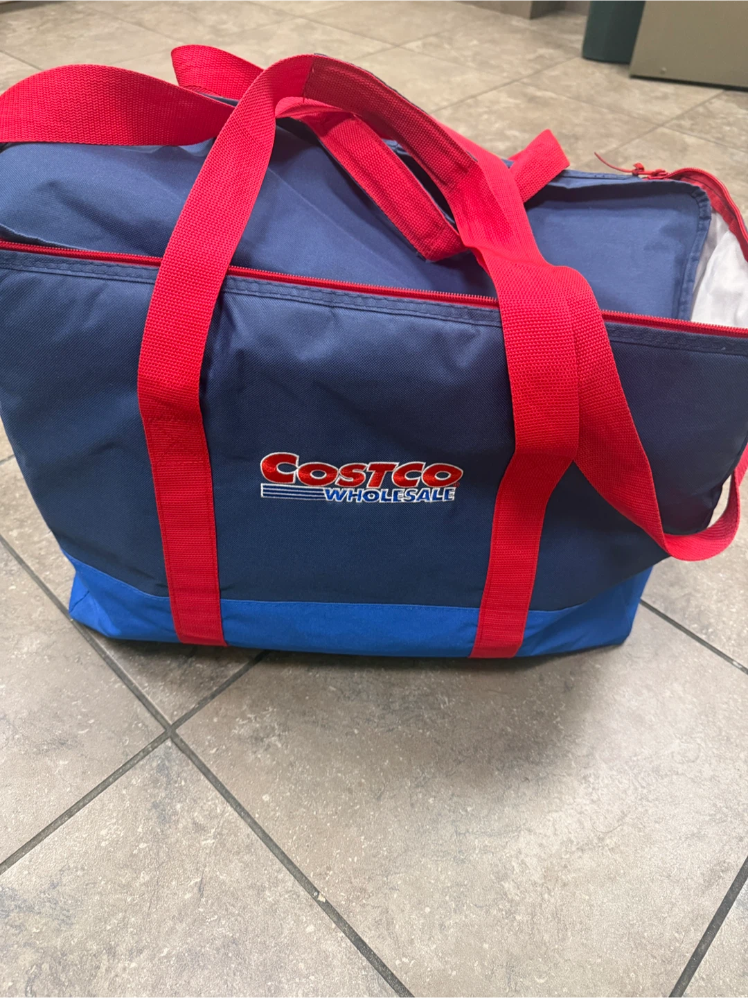 Costco Wholesale Insulated Cooler Bag