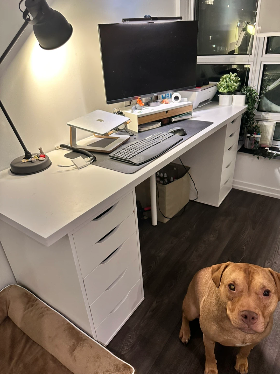 IKEA ALEX 5-Drawer work desk - photo 5