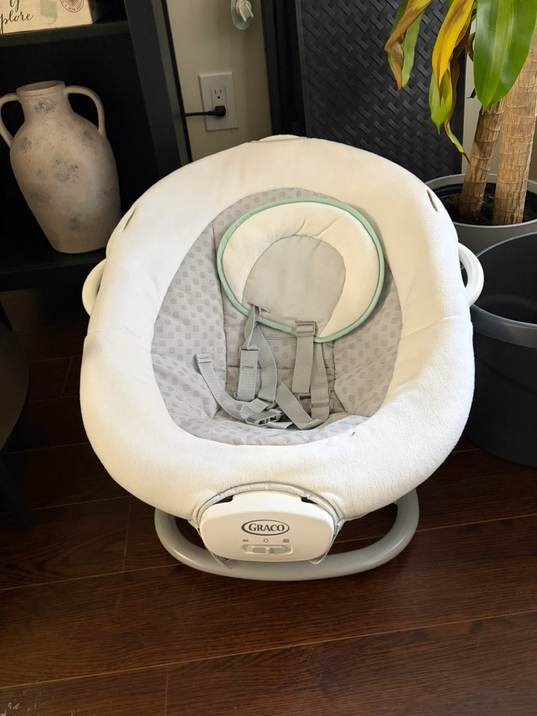 Graco Baby Swing
