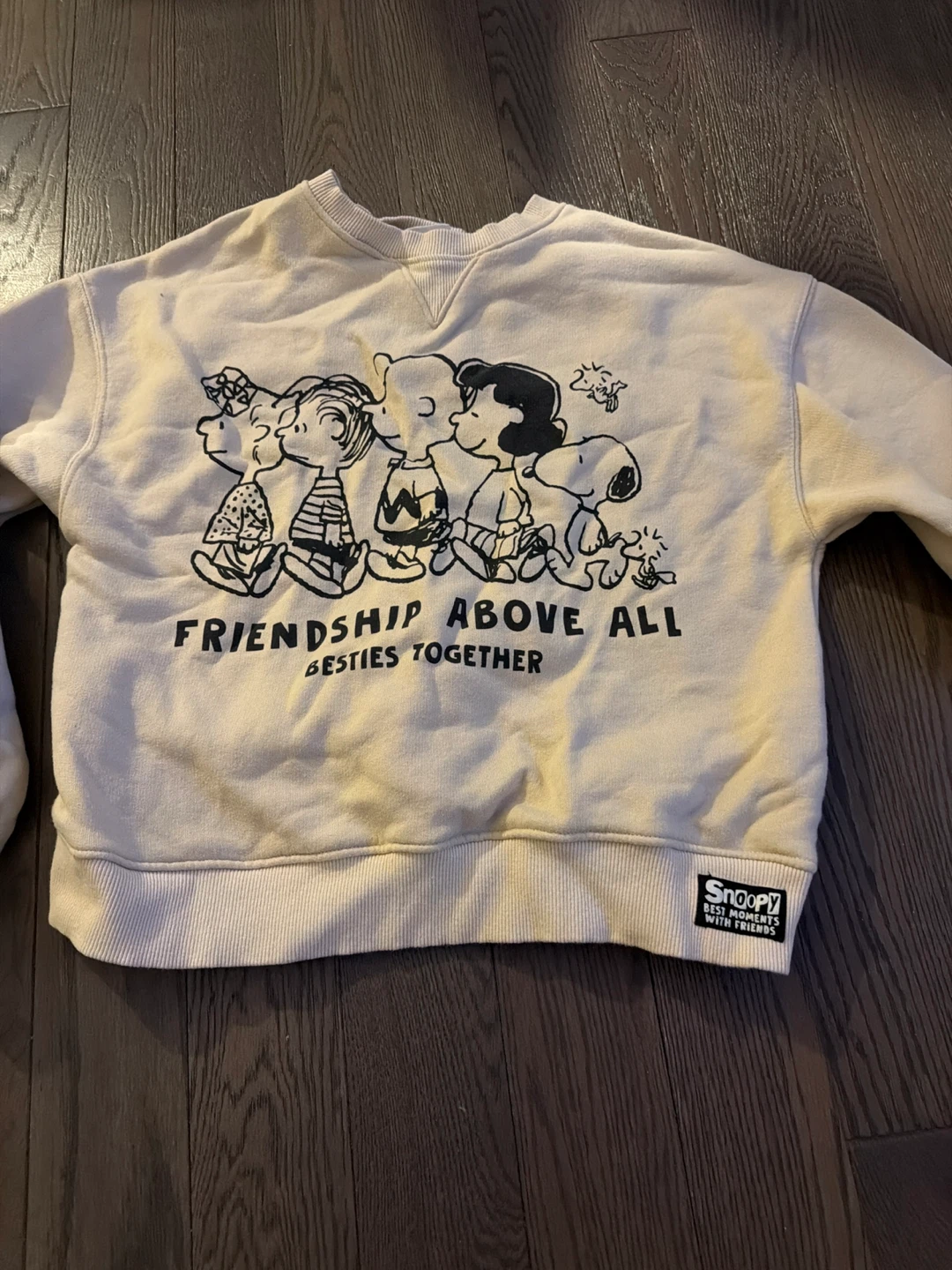 Peanuts "Friendship Above All" Graphic Crewneck Sweatshirt