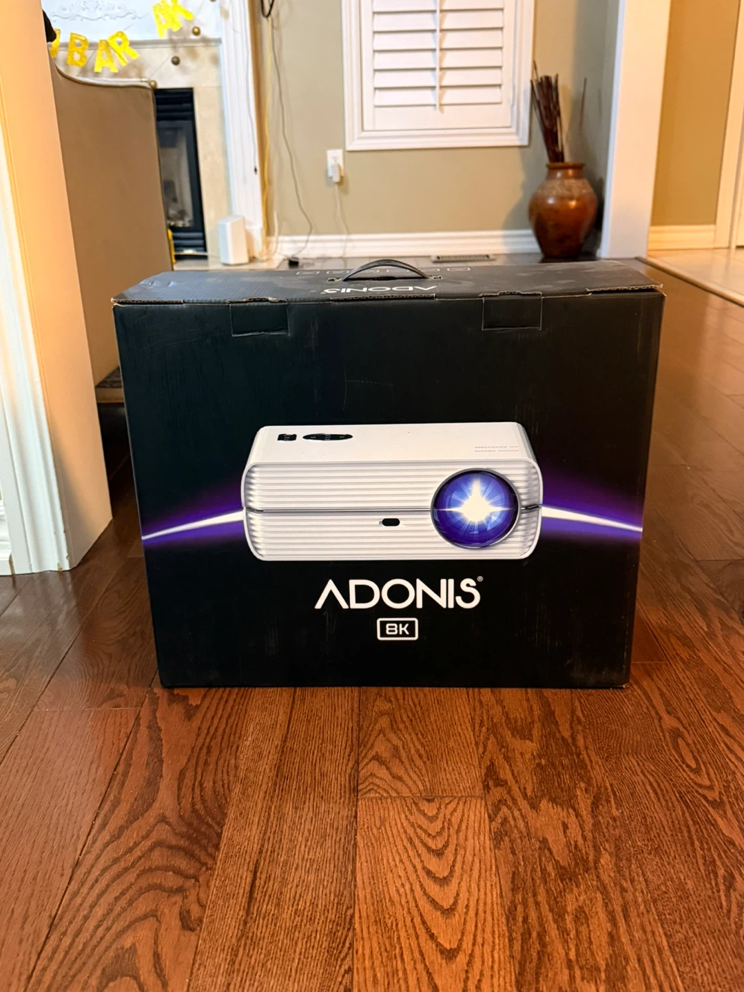 1 on 1 ADONIS AD-700 Laser Projector
