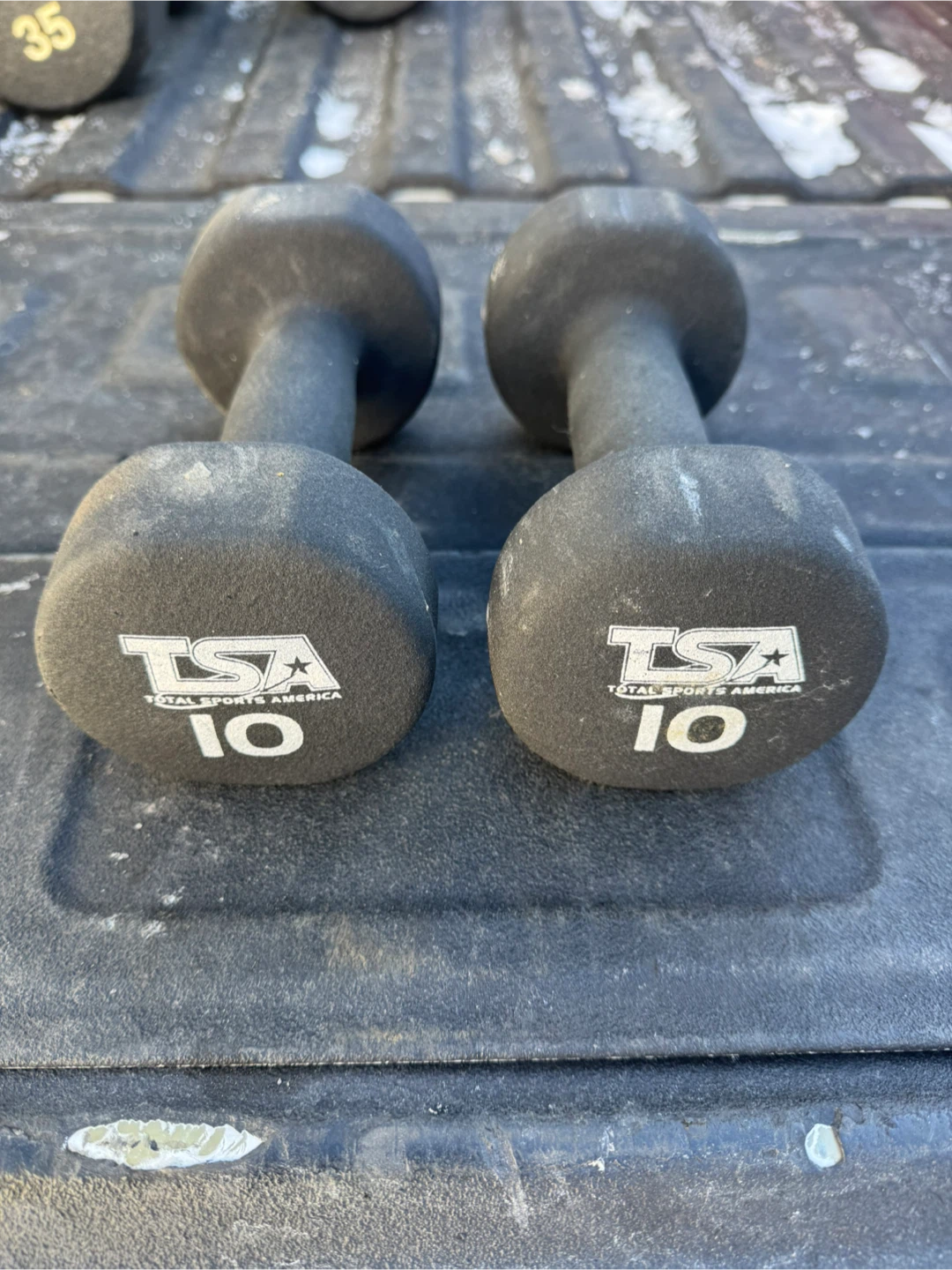 TSA Total Sports America 10 lb Dumbbells (Pair)