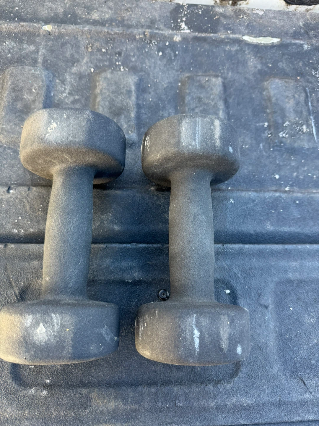 TSA Total Sports America 10 lb Dumbbells (Pair) - photo 3