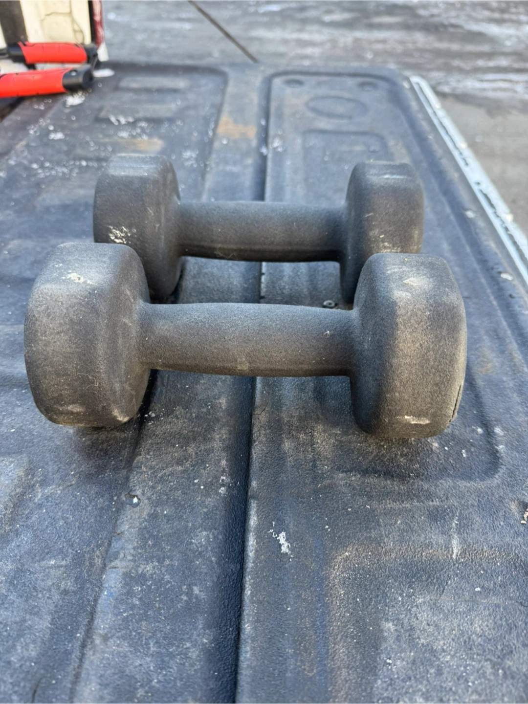 TSA Total Sports America 10 lb Dumbbells (Pair) - photo 2
