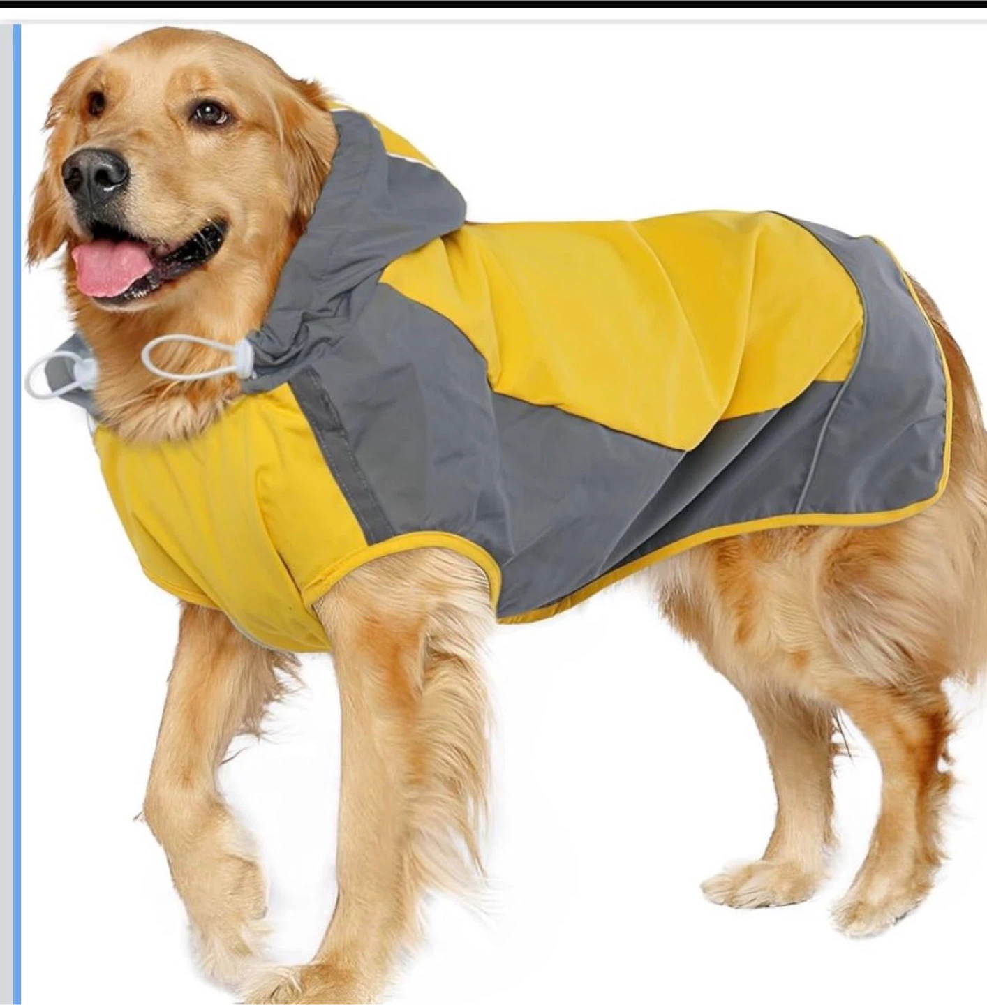 Yellow and Grey Dog Winter Coat with Hood