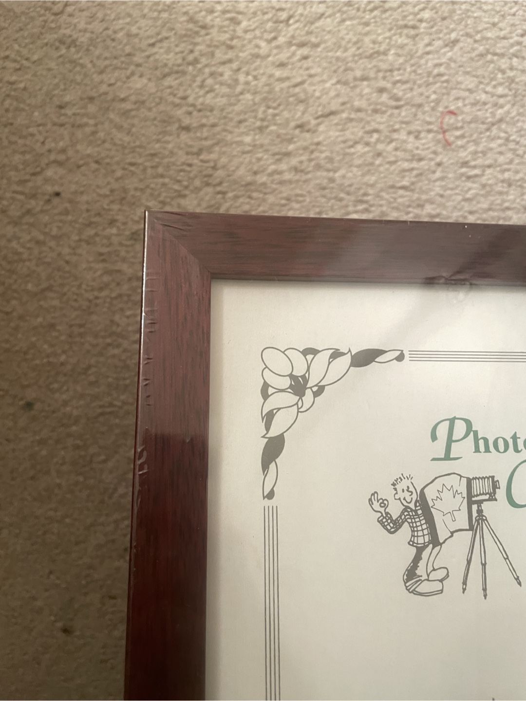 Photographers' Choice 8 x 10 Photo Frame - photo 2