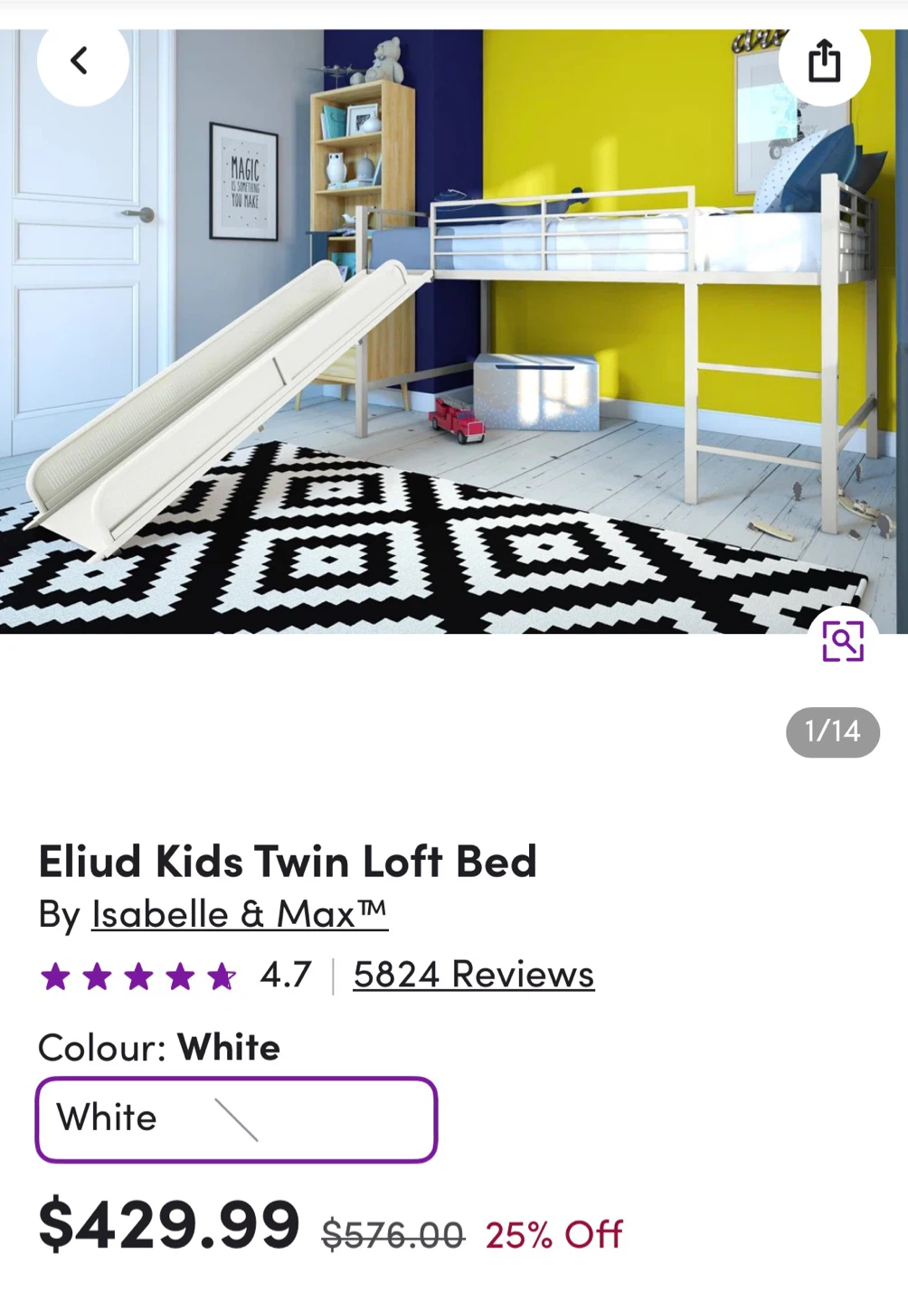 Eliud Kids Twin Loft Bed with Slide - White