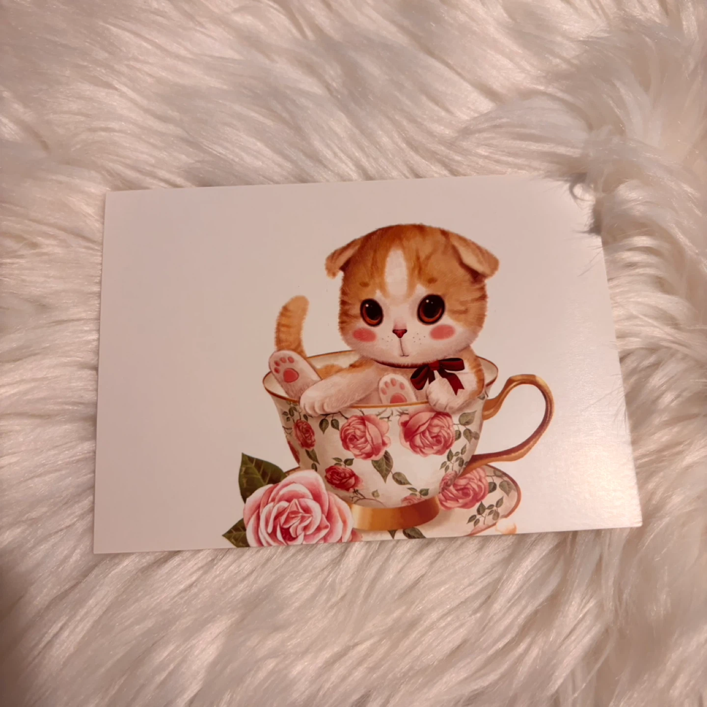 Set of 4 Cute Cat Postcards - photo 4