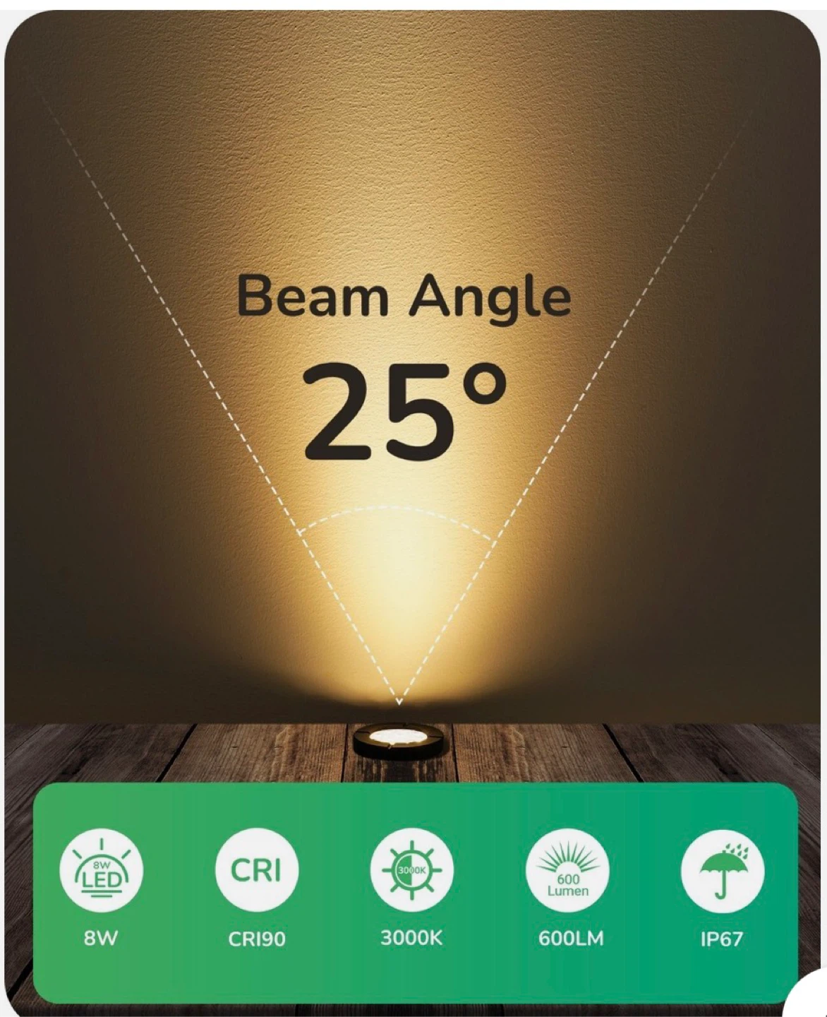 EDISHINE Outdoor LED Landscape Lights (8 Pack) - photo 3