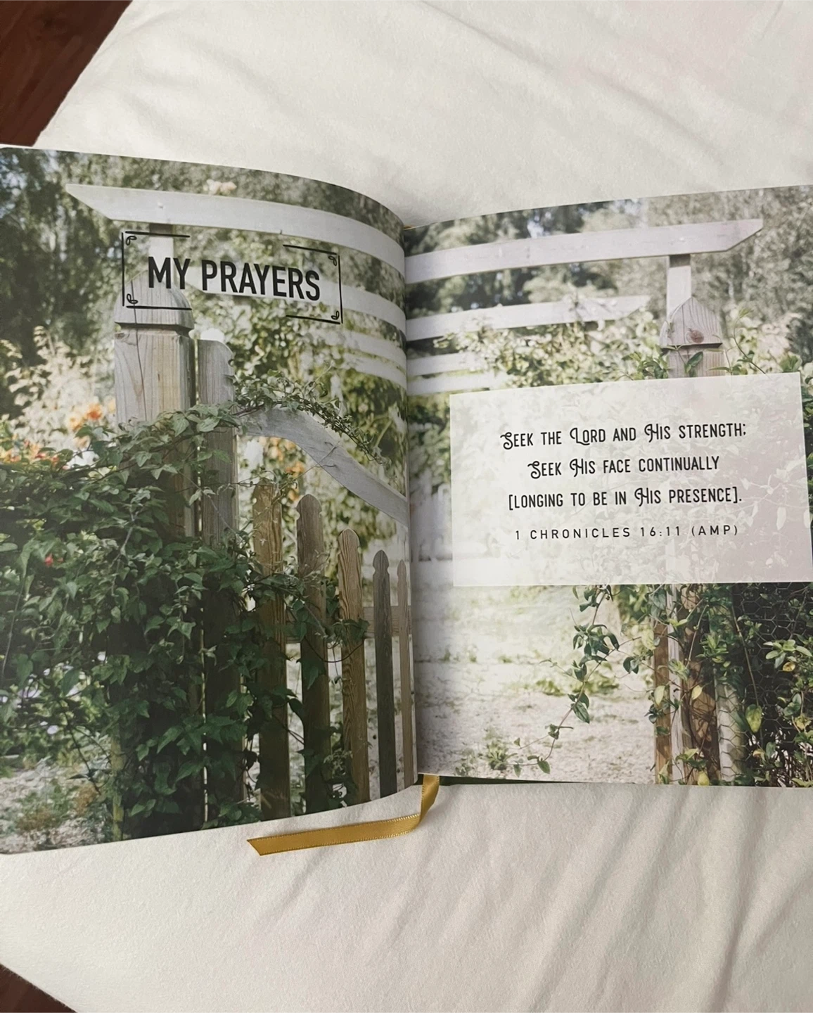 Daily Hope Prayer Journal - photo 2