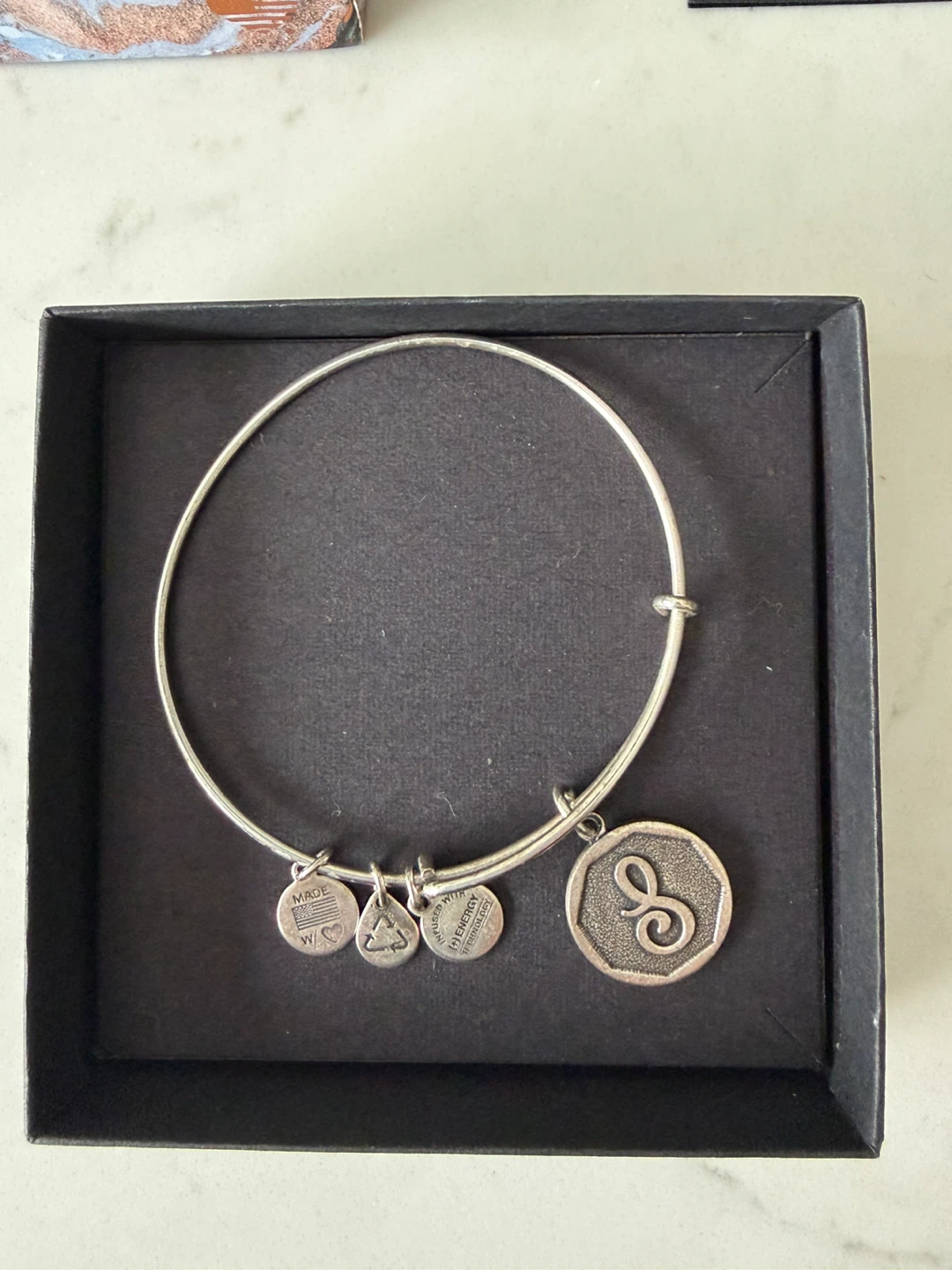 Alex and Ani Calavera Skull Charm Bangle Bracelet - photo 3