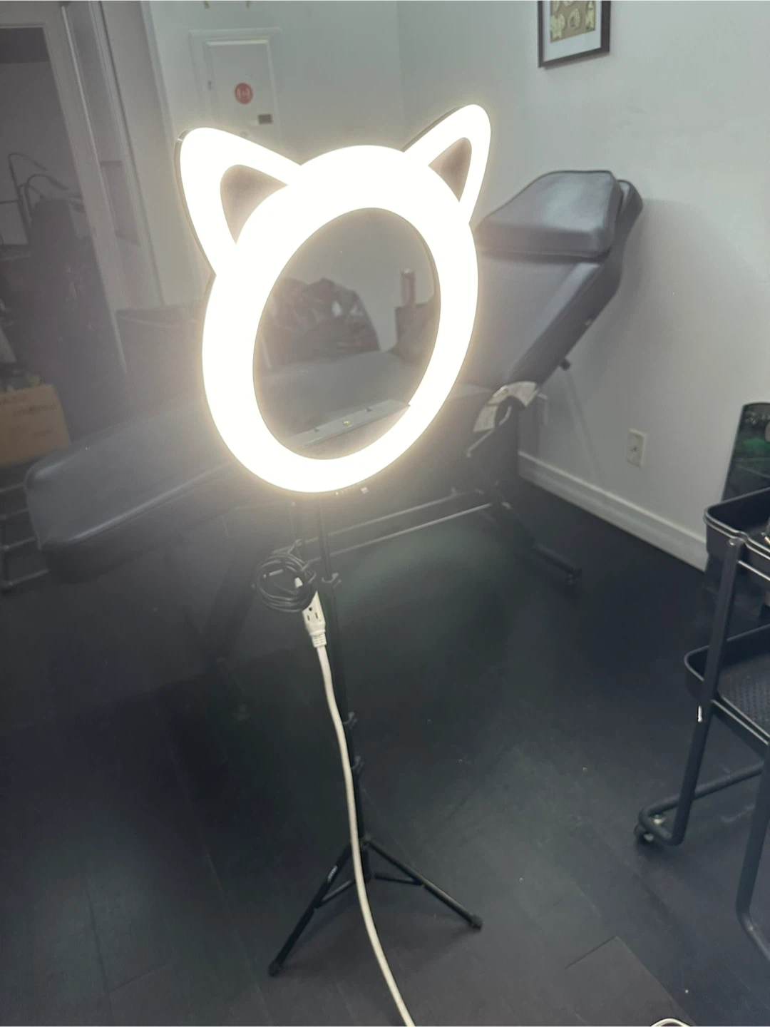 LED Ring Light with Cat Ears