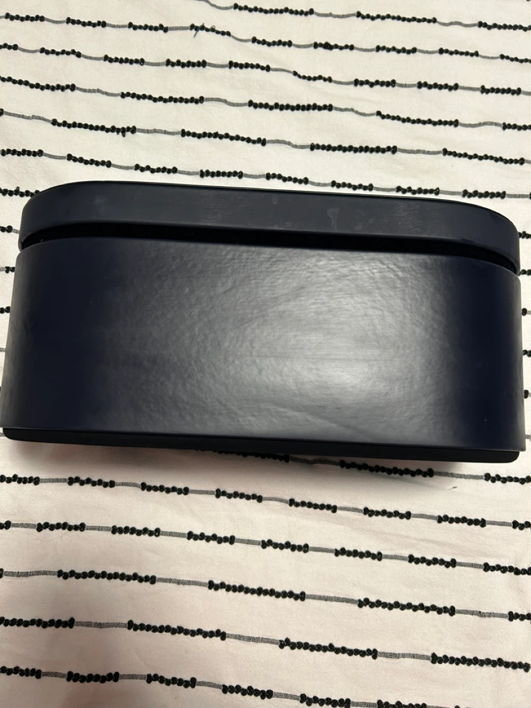 Dyson Storage Case empty