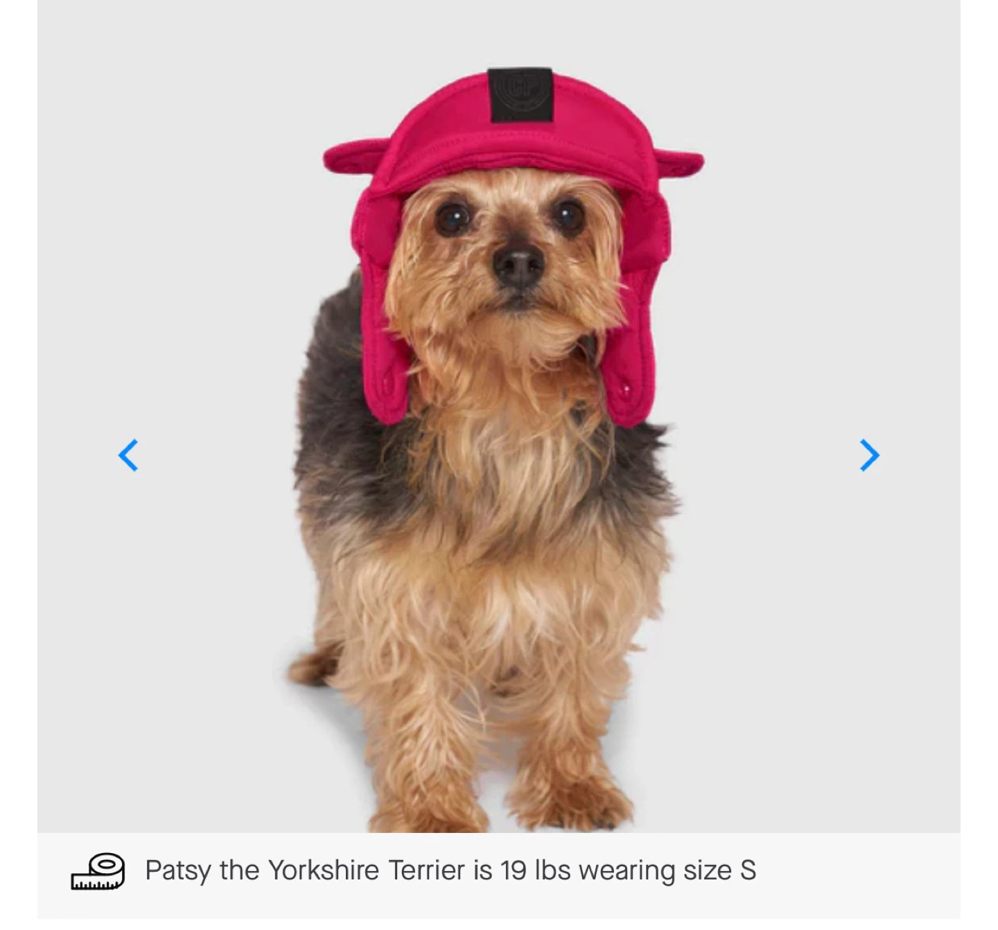 Canada Pooch Black Puffer Hat - Size S/P