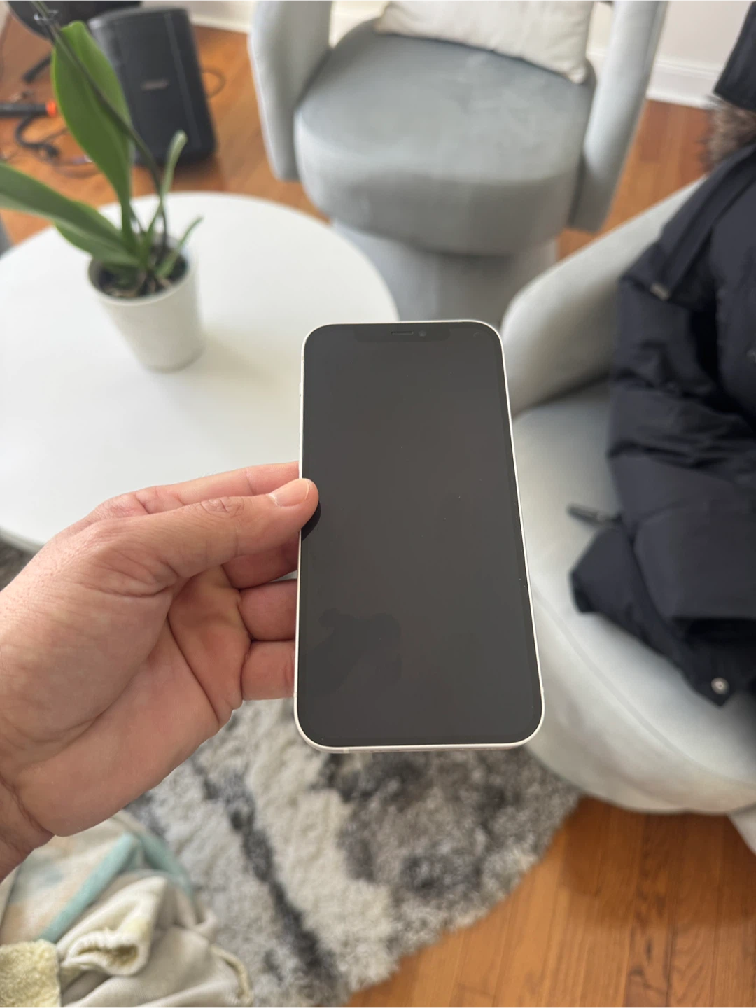 Apple iPhone 12 - Starlight - photo 2