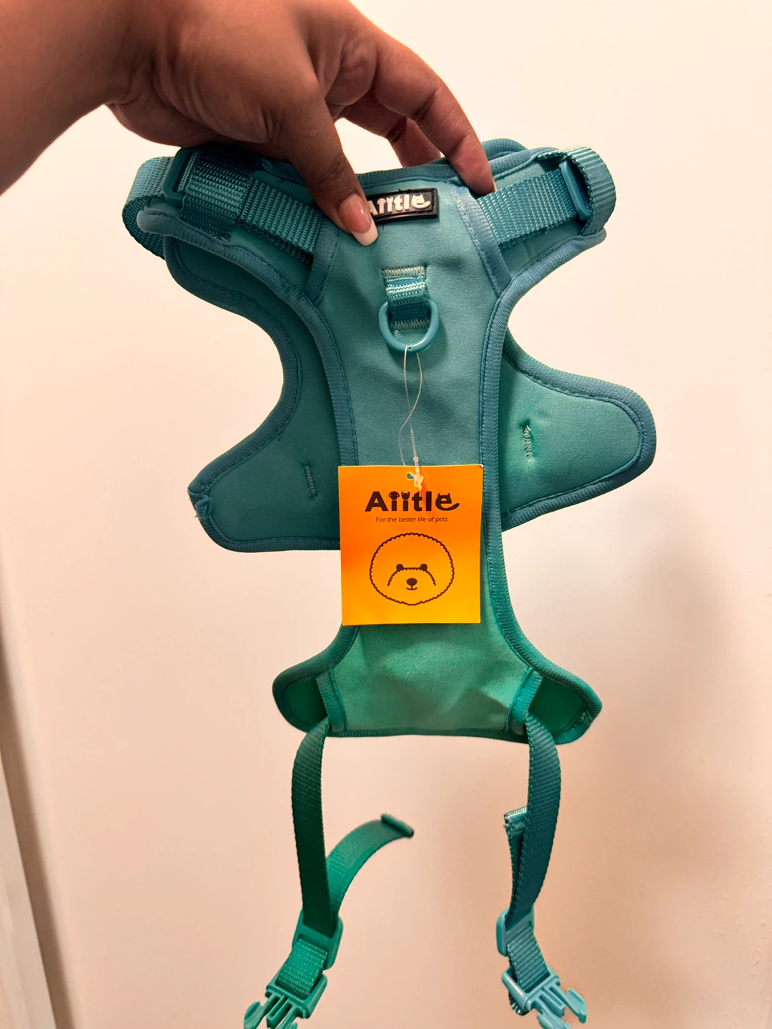 A Little Pet Harness - Teal